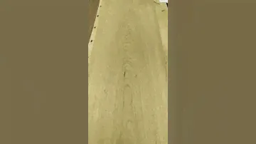 Шпон Дуб белый тангенциальный 2