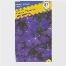 Семена /Престиж Семена/ Семена цветов лобелия кустовая ривьера полночь/ Профессиональные семена